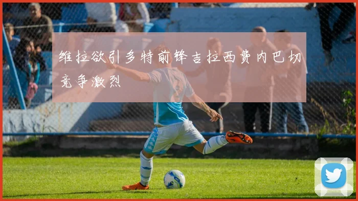 维拉欲引多特前锋吉拉西费内巴切竞争激烈