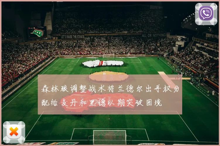 森林狼调整战术将兰德尔出手权分配给麦丹和里德以期突破困境