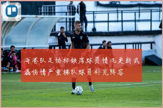 海港队足协杯缺席球员情况更新武磊伤情严重梯队球员补充阵容