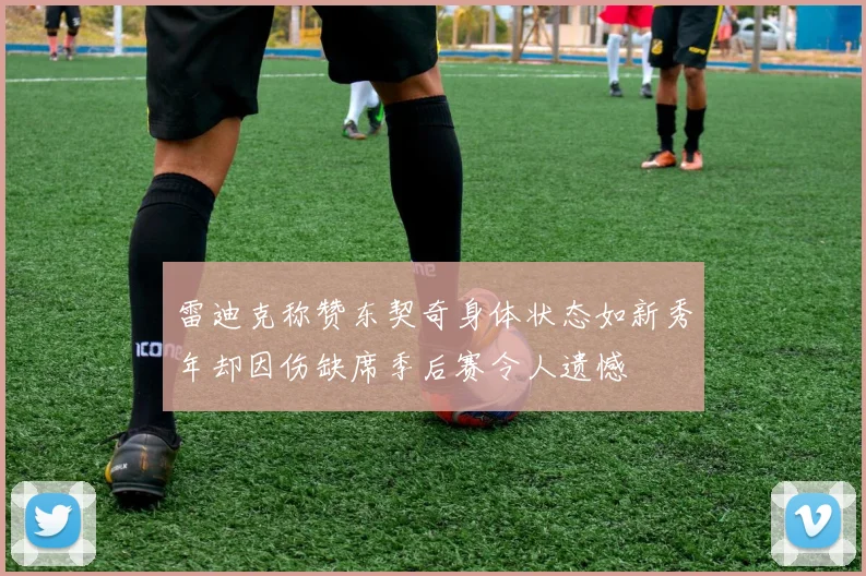 雷迪克称赞东契奇身体状态如新秀年却因伤缺席季后赛令人遗憾